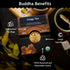 18 (Pack 1) Buddha Teas - Chaga Tea - Organic Herbal Tea - For Cognitive Balance & Overall Health - With Chaga