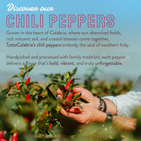 10oz (285 TUTTOCALABRIA Chili Pepper Paste Pate, g), Seedless, No Seeds, Fine and creamy processing, Spicy and rich