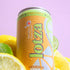 (Pack 12) Pack Lotza Sparkling Non-Alcoholic Adaptogen Drink with Electrolytes | Non-Alcoholic Mocktail & Drink Mixer|