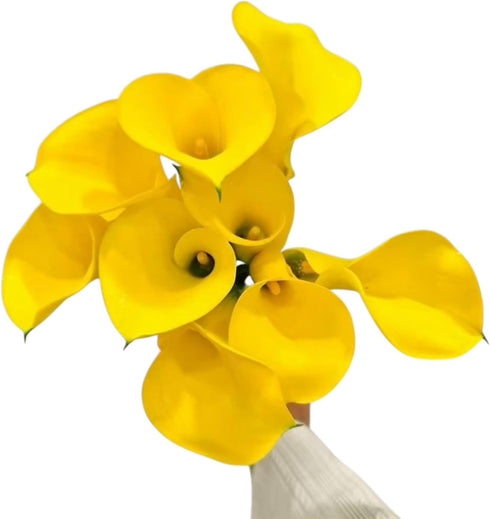 Cassiolina 10 Stems Fresh Calla Lily Flowers Elegant Long Stem Flower Bouquet for Vase Home Decor Wedding Party Floral