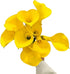 Cassiolina 10 Stems Fresh Calla Lily Flowers Elegant Long Stem Flower Bouquet for Vase Home Decor Wedding Party Floral