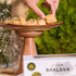19 Cedar Pastries Piece Baklava Assortment Mediterranean Dessert Gift Box Pistachio, Cashew & Walnut Phyllo Pastries
