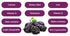 Packets 100% 14 Count (9.87 oz, 280g) DAJEONGHEON Organic Prune Juice Stick - Pure NFC Cold-Pressed Juice, No Added