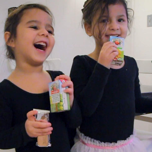 4.23 oz, 40 count Apple & Eve Sesame Street Organics, Big Bird's Apple Juice, Fluid