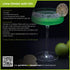 3 oz Garnishes & Dreams Dehydrated Fruit Green Lime Slices Premium Cocktail Garnish, | Dried Fruit for Cocktails, Dried