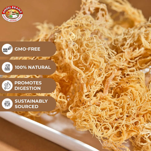 2 Lbs Angel Brand Irish Sea Moss Pouch - Nutrient-Rich Sea Vegetable Harvested from Clean Ocean Waters - Irish Sea Moss