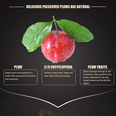 RIJIN DOUJIN Plums,5.29Oz Sugar ,Organic Dried Plums, Salty And Sweet Appetizing,Plum Fruit Snacks