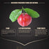 RIJIN DOUJIN Plums,5.29Oz Sugar ,Organic Dried Plums, Salty And Sweet Appetizing,Plum Fruit Snacks