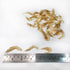 Bhoir Masale 150 Dry Shrimp Seafood Dried Prawns Sundried gram