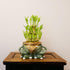 Elegant Ceramic Container with Classic Lucky Bamboo Tower - Green, One Size