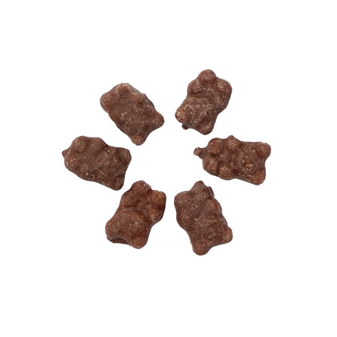 Gummy 2 Gummy Milk Chocolate Covered Bears, Pound Bulk Bag, Chocolate Candy, Bears, The Hampton Popcorn & Candy Company