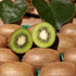 Generic 5 lbs 100% Fresh Green Kiwi Fruit | Bulk | natural | Premium Quality KiwiFruit