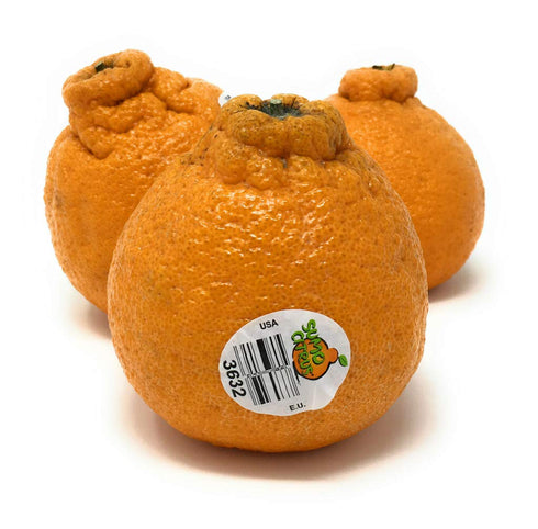 Fresh Produce 48 OZ PRODUCE Dekopon Citrus Box