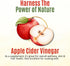 500mg 454g (1 lbs) Organic Apple Cider Vinegar Powder - Apple Cider Vinegar Supplement, ACV for Digestive Support