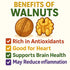 Sky Ecommerce 5lb Crazy Nuts | California Grown Whole Walnuts In Shell, | Raw Walnuts Whole Bulk, Nuts in Shells