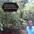 (4) Madras Curry Powder-Made in Small Batches-All Organic Spices