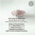 Pride Of India - Himalayan Black Rock Salt, Extra-Fine Grind (4.0 oz, 113.4gm) - Perfect for Cooking