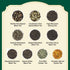 (20 40 Set VAHDAM, Assorted Tea Sampler Delicious Variety, Individually Wrapped Pyramid Teabags) Long Leaf Premium Teas