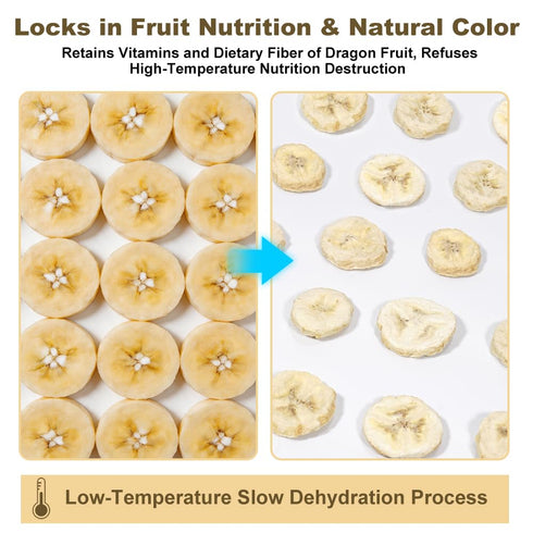 WZYBDTTMA 7.05oz200g Freeze Dried Banana Slices, Resealable Jar | Gluten-Free Vegan Snacks for Travel & Pantry Storage