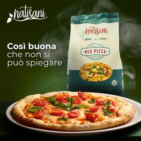 Natisani 1kg 2.2lb - Gluten Free Flour, Pizza Mix, |