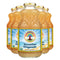 Big Island Organics Hawaiian Gingerade Made with 100% USDA Organic Ginger Juice