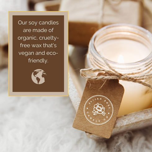 Generic 4oz 100% THANK YOU Personalized Gift Box - Stainless Steel Tumbler, Organic Soy Candle, Live Succulent Plant