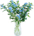 Cassiolina 10) Fresh Tweedia Blue Star Flowers Bouquet Light Blue Fresh Cut Flowers for Home Decor Wedding Floral