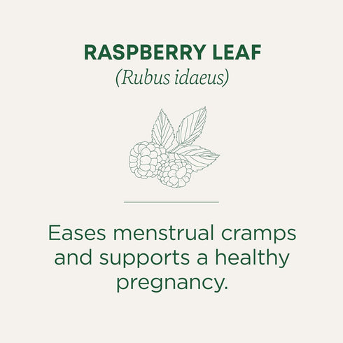 (Pack 1) 16 Traditional Medicinals Organic Raspberry Leaf Herbal Tea, Eases Menstrual Cramps & Supports Healthy