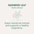 (Pack 6) 96 Traditional Medicinals Organic Raspberry Leaf Tea, Supports Healthy Pregnancy and Soothes Menstrual Cramps