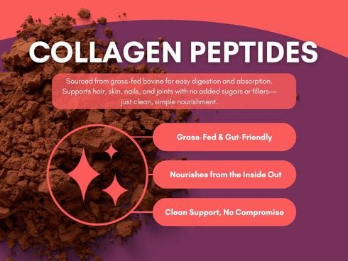 10.16 Mindful Nutrition Keto Protein Cocoa Mix with Collagen Peptides Powder & Organic MCT Oil Friendly Paleo Sugar