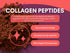 10.16 Mindful Nutrition Keto Protein Cocoa Mix with Collagen Peptides Powder & Organic MCT Oil Friendly Paleo Sugar