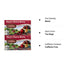 20 Count (Pack 2) Celestial Seasonings Black Cherry Berry Tea Bags