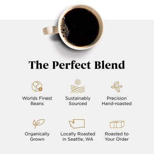 Storyville Coffee Prologue Blend - Premium Whole Bean Fresh Roasted Medium Roast Coffee, 8 Ounces