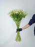 15 Stems Chamomile Daisy Fresh Cut Flowers Perfect for Home Decor Birthdays Anniversaries Healing Sympathy Friendship