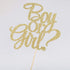 Boy or Girl Cake Topper, Glitter Baby Shower Party Decorations Supplies in Gold