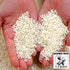 THE BLACK HOOF Arroz 1 (2.2 lbs) Bomba Paella Rice D. O. Valencia - Bomba, the White Rice from Spain Kg