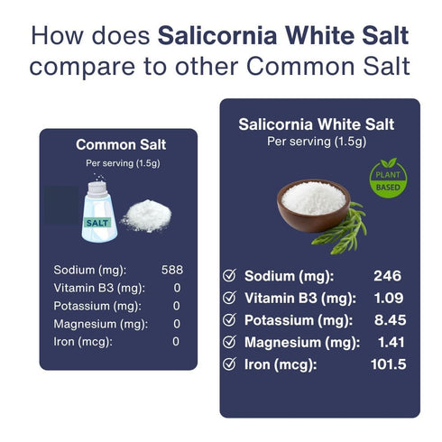 100% (7.05 oz 200g) SaltWise Salicornia White Salt Low Sodium Salt Substitute, Plant-Based Mineral Salt, Kosher
