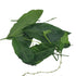 Trelawny Inspirations 4oz (2 2oz Packs) 100% Jamaican Guinea Hen Weed Tea x Handpicked Loose Leaf Herbal Tea Anamu