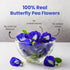 BLUE TEA - Butterfly Pea Flower Tea, 30 Count Plant Based Tea Bag, Antioxidant Rich Herbal Tea, Caffeine Free