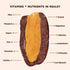 (10 Pack) Realsy Peanut Butter Stuffed Medjool Dates, Organic Dates with No Sugar Added, Gluten-Free, Vegan, Good