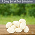 200pcs/1lb Packed Oh! Nuts Yogurt Covered Raisins - - Sweetened Dehydrated Creamy Yogurt Fruit Bites - in New York