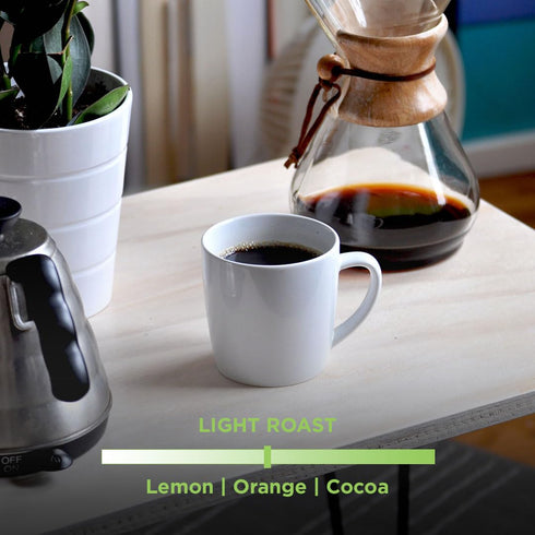 3 Tiny Footprint Coffee Organic Signature Blend Light Roast - Whole Bean Coffee, USDA Organic & Carbon Negative - You