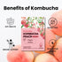 20 Unha's Everyday Kombucha Tea Powdered Beverage, Sticks, Sparkling Powder Drink, Prebiotics, and Probiotics