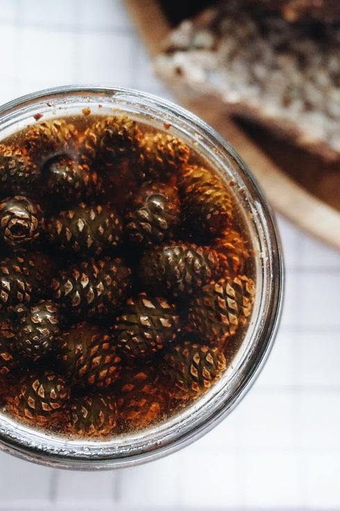 MOM COOKS JAM 14.1 oz. Pine Cone Jam