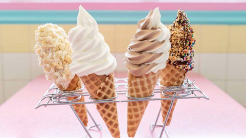 6 lb. Frostline Vanilla & Chocolate Soft Serve Powdered Ice Cream Mix | Lactose Free | Kosher | Bag Each