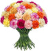 FlowerPrime 50 Mother's Day Carnations - Fresh Natural Cut Flowers Special Holiday