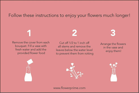 50 Pack FlowerPrime Mother's Day Carnations - Fresh Natural Cut Flowers Special Holiday Variety
