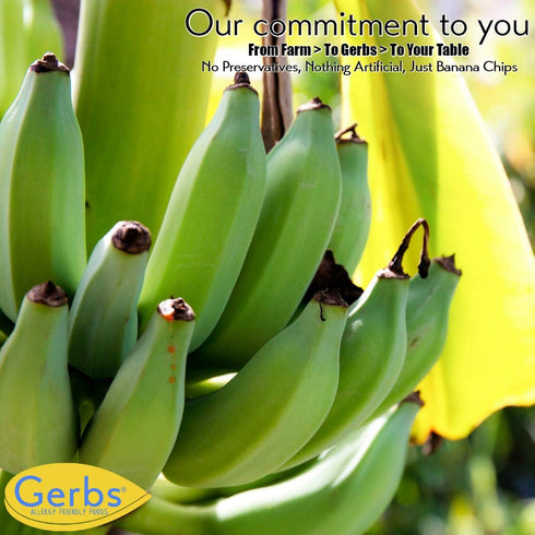 14 oz. 14 Gerbs Unsweetened Banana Chips | Unsulfured, No Artificial Additives, Resealable Bag | Naturally Crisp