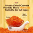 YJSLSQIYP 1.76lb (28oz) Freeze-Dried Diced Carrots - Jar | Long Shelf Life Pantry Staple | Emergency Food, Cooking