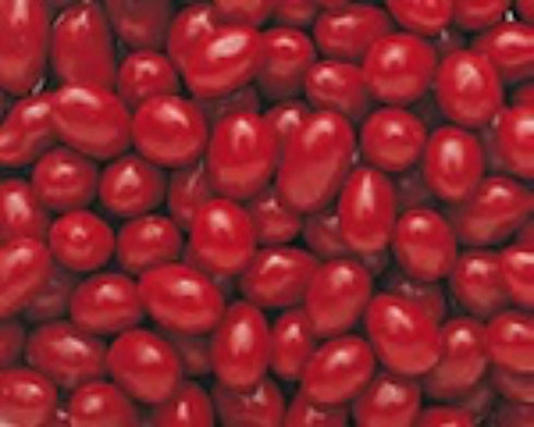 The Nutty Fruit House Boston Baked Beans 5LB Bag